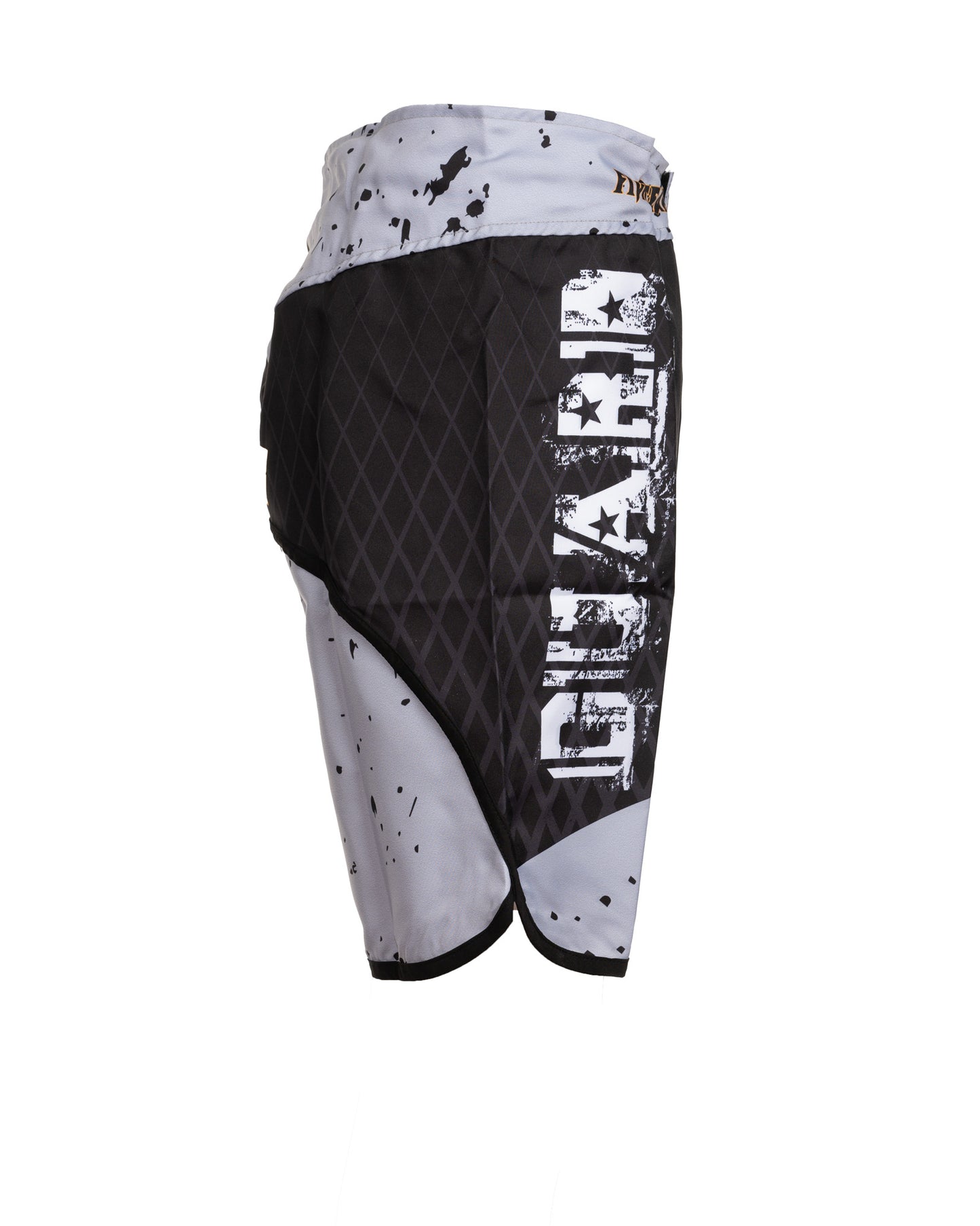 Titanium Blaze Mma Short
